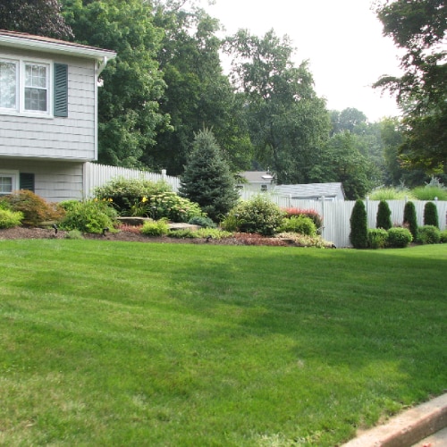 Lawn Care
